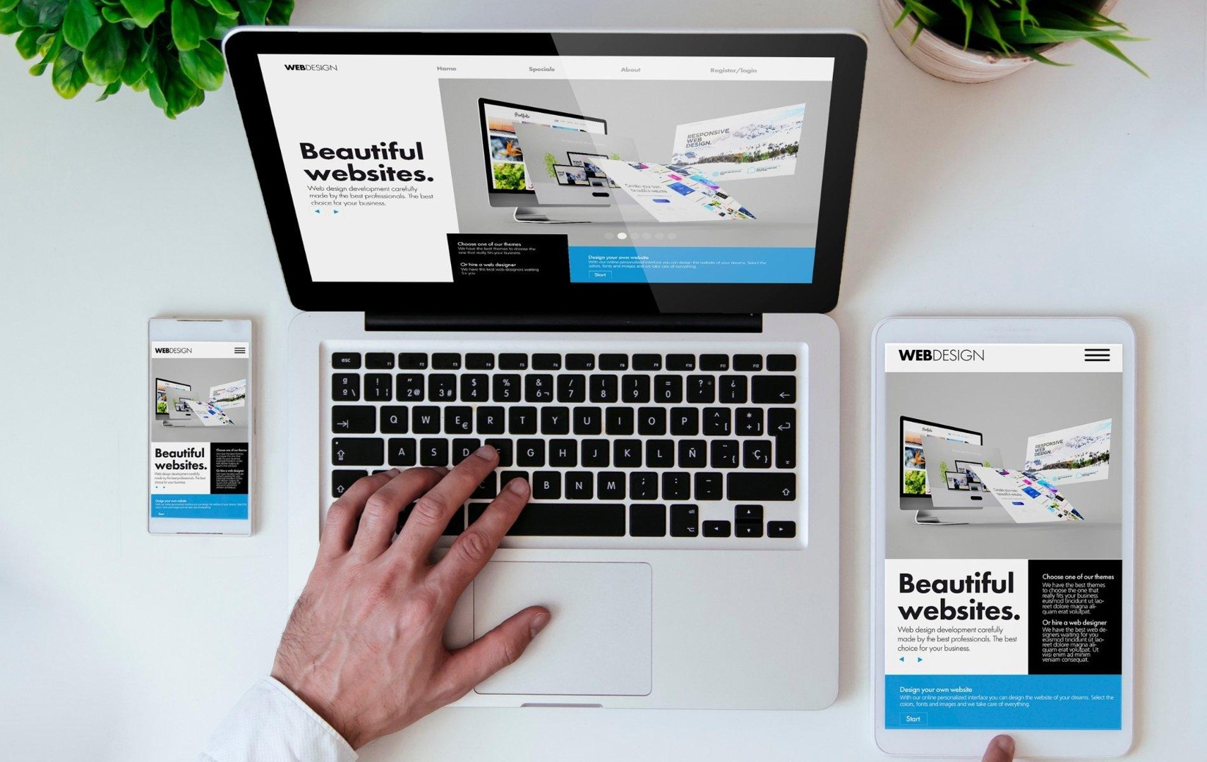 Web Design